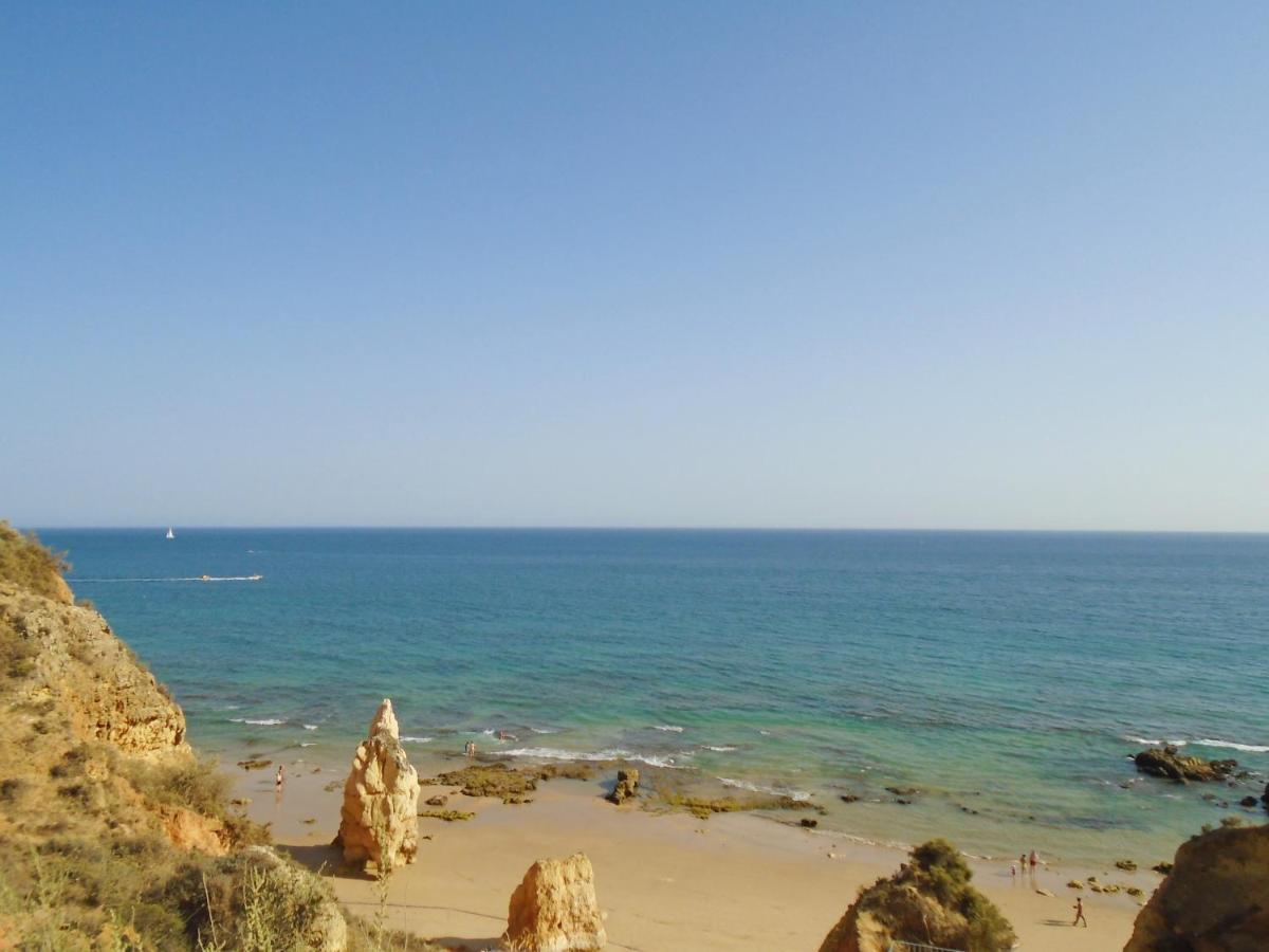 Squash Rocha * Portimao